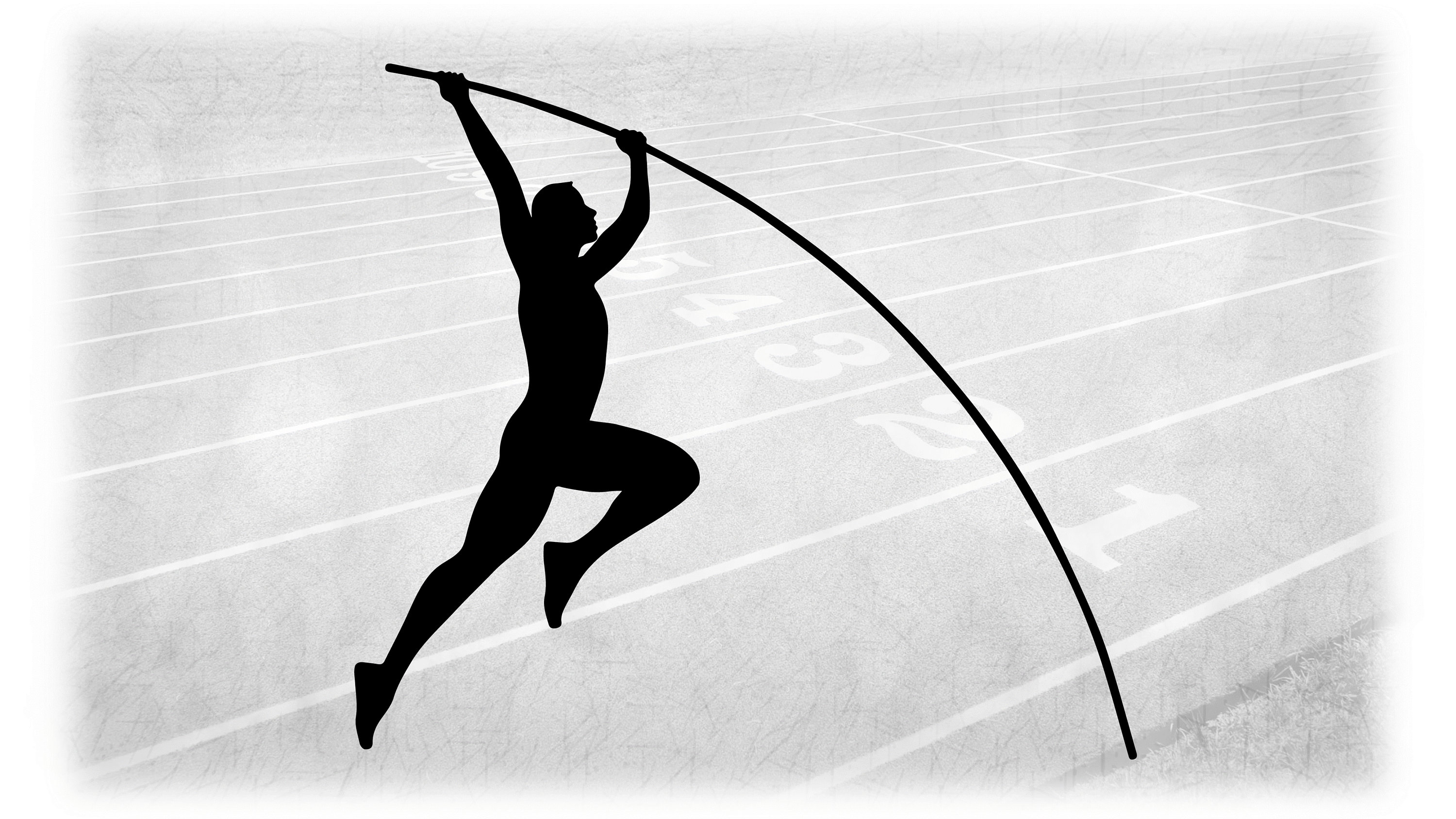 Pole Vault Pole for sale 80 ads for used Pole Vault Poles