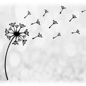 Clipart da natureza: Flor de dente-de-leão preta seca com sementes soprando ao vento em fundo transparente - Download digital SVG e PNG