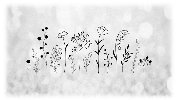 Black And White Nature Border Design