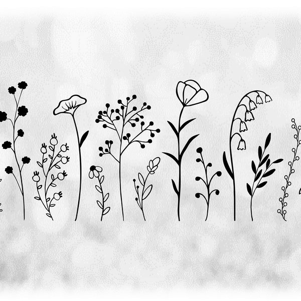 Flower/Nature Clipart: Simple, Thin Black Silhouette Outlines of 14 Wildflowers on a Single Sheet - Digital Downloads in svg png dxf pdf
