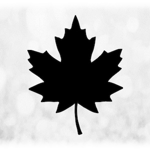 Nature Clipart: Simple and Easy Black Solid Maple Leaf Silhouette, Symbol for Canada, Fall / Autumn Theme - Digital Download svg png dxf pdf