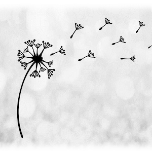 Nature Clipart: Flor de diente de León Seca Negra con semillas soplando hacia fuera y en el viento sobre fondo transparente - Descarga digital SVG & PNG