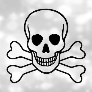 May include: A black and white skull and crossbones graphic. The skull has two black eyes and a toothy grin.