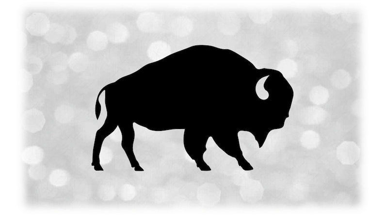 Animal Clipart: Simple Easy Black Solid Buffalo or Bison Silhouette Change Color with Your Own Software Digital Download svg png dxf pdf image 1