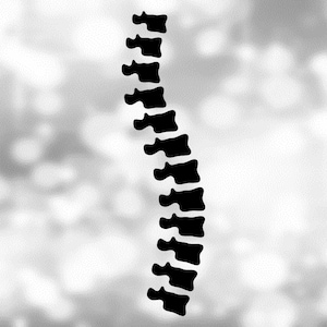 Medical Clipart: Black Back Bones of Spinal or Spinal Column for Doctors, Osteopaths, Therapists, Chiropractors - Digital Download SVG & PNG