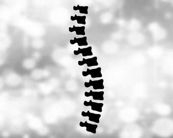 以下が含まれることがあります： ぼやけた白い背景に、各椎骨がはっきりと定義された人間の脊椎の黒いシルエット。