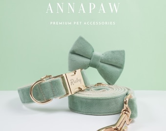 May include: A sage green velvet dog collar with a gold buckle and the name "Ruby" engraved on it. The collar is paired with a matching sage green velvet bow tie and a matching leash with a gold clasp.