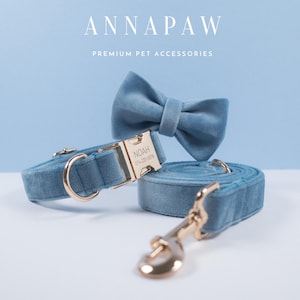 Dog collar with bow tie and leash discount