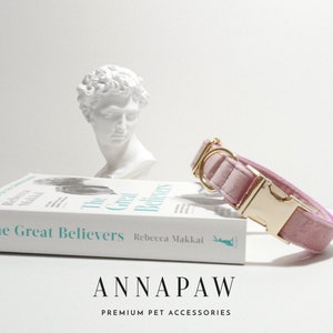 Pu&ograve; includere: Un collare per cani in velluto rosa con una fibbia in metallo dorato. Il collare &egrave; su una superficie bianca con un libro intitolato "The Great Believers" di Rebecca Makkai.