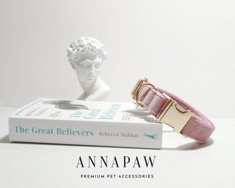 Pu&ograve; includere: Un collare per cani in velluto rosa con una fibbia in metallo dorato. Il collare &egrave; su una superficie bianca con un libro intitolato "The Great Believers" di Rebecca Makkai.