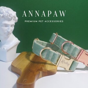 May include: Two light green velvet dog collars with rose gold hardware. The collar on the left has the name "Ruby" engraved on the buckle.  The collars are on a wooden surface.