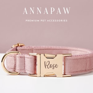 May include: A pink velvet dog collar with a gold buckle and a personalized name tag that reads "Rose".