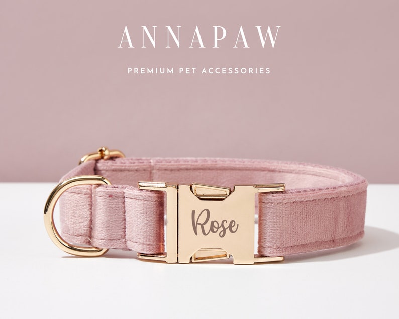May include: A pink velvet dog collar with a gold buckle and a personalized name tag that reads "Rose".