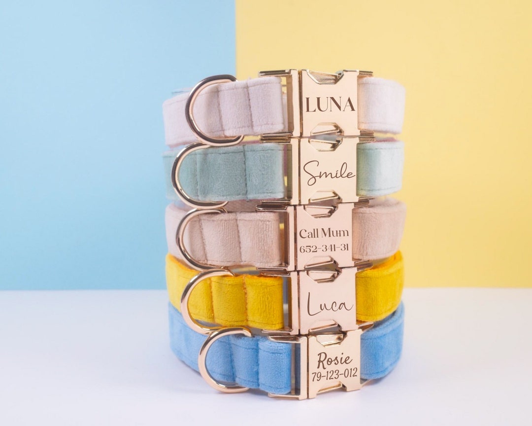 Designer Dog Collar and Leash Bow Tie Set, Boy and Girl Dog Collar