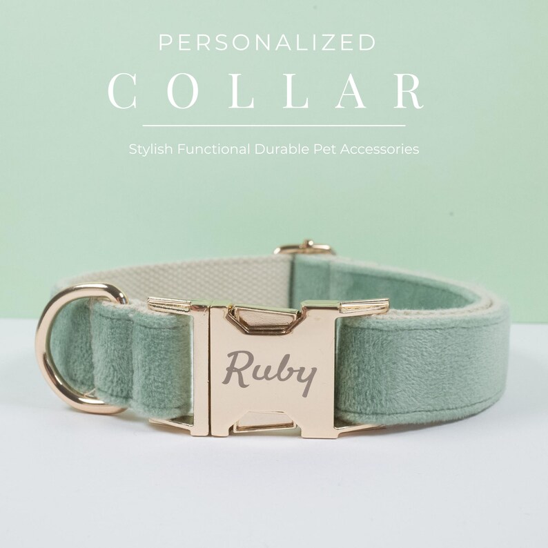 Personalised Dog Collar Lead With Bow Sage Velvet Pupyy Etsy