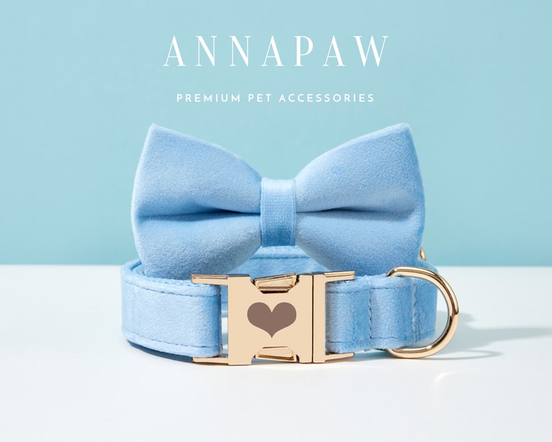 May include: A light blue velvet dog collar with a gold heart-shaped buckle and a matching light blue velvet bow tie. The collar is made by Annapaw, a company that specialises in premium pet accessories.