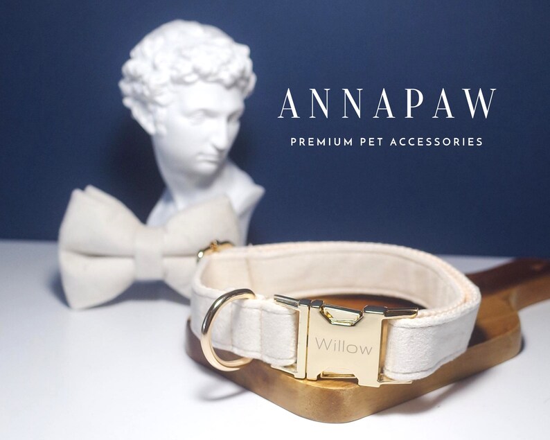 White Dog Collar with Name, Thick Velvet Dog Collar Wedding, Luxury Pet Puppy Collar for Small Dogs, Engraved Gold Buckle with Design image 2