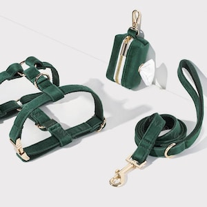 Emerald Green Dog Harness+Leash+Poo Bag Holder Set, Personalised Step in Harness Fancy Luxury Velvet with Engraved Nameplate