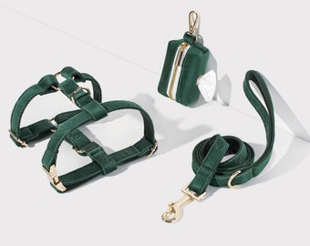 Harnais pour chien vert émeraude + laisse + porte-sac à caca ensemble, étape personnalisée dans le harnais fantaisie velours de luxe avec plaque signalétique gravée