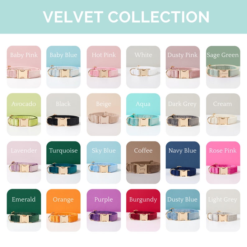 May include: A collection of velvet dog collars in various colors, including baby pink, turquoise, and navy blue. Each collar features a gold-colored buckle and a matching loop for attaching a leash. The text "VELVET COLLECTION" is at the top.