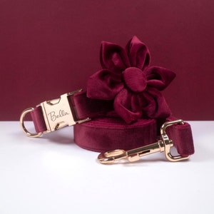 Burgundy Personalized Dog Collar Flower, Thick Velvet Dog Collar Wedding, Luxury Pet Puppy Collar for Small Dogs, Engraved Collar with Name