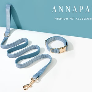 Op de afbeelding: Een lichtblauwe hondenhalsband en bijpassende riem met gouden hardware. De halsband en riem zijn gemaakt van een zachte, textuurrijke stof. De tekst "ANNAPAW PREMIUM PET ACCESSORIES" is zichtbaar op de achtergrond.
