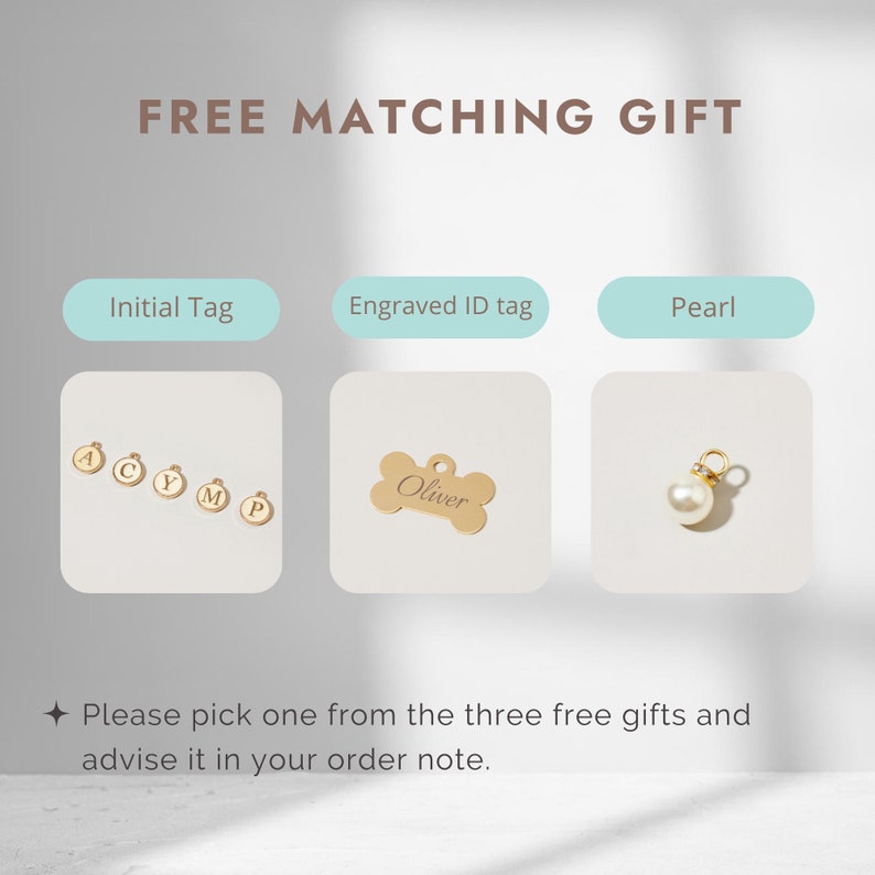 May include: Three free gift options for a pet collar: a gold initial tag, a gold engraved ID tag with the name "Oliver", and a white pearl.
