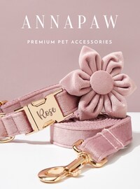 Pink Velvet Personalized Dog Collar Bow Tie Leash Set For Female Girl,Custom Engraved Pet Name Metal Buckle,Wedding Puppy Gift,FREE Shipping