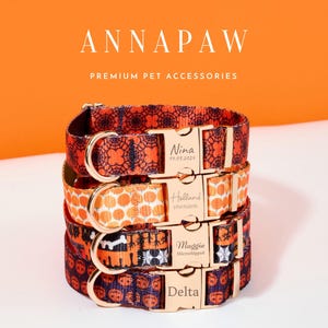 May include: Four colourful dog collars with personalised name tags. The collars are stacked on top of each other. The collars are orange, yellow, black, and blue with various patterns. The name tags are gold and have the names "Nina", "Holland", "Maggie", and "Delta" on them.