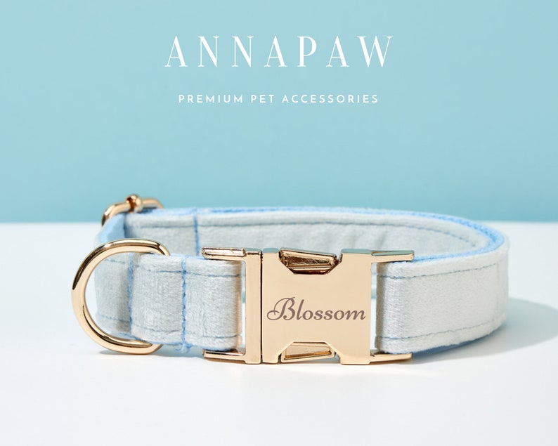 May include: A light blue and white dog collar with a gold buckle. The buckle has the word "Blossom" engraved on it.