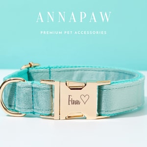 Ensemble de noeud papillon personnalisé pour collier de chien en velours Aqua, collier de chiot fait main en laisse pour cadeau de mariage, collier de chien gravé fantaisie