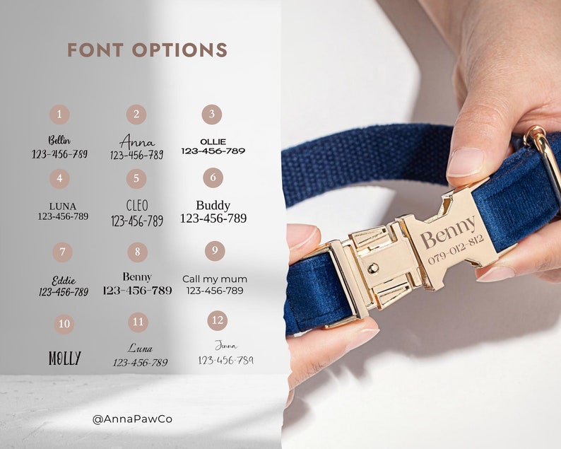 May include: A chart of font options for a personalized dog collar with a blue velvet collar and gold buckle. The chart shows 12 different font styles with names and phone numbers. The collar has the name "Benny" and phone number "079-012-812" engraved on the buckle.