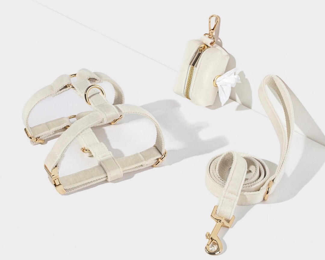 Creamy White Puppy Harness Set With Name Engraved,dog Harness Dog Leash