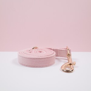May include: A rolled-up, light pink dog leash with a matching handle and a gold-colored metal clasp. The leash is made of a soft, velvety material. The background is a solid light pink.