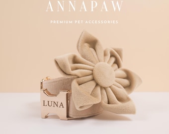 May include: A beige velvet dog collar with a gold buckle engraved with the name "LUNA". The collar is adorned with a large beige velvet flower.