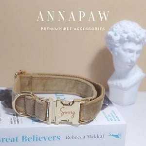 Personalized Dog Collar and Leash Bow tie set, Boy Dog Collar, Girl Dog Collar, Custom Dog Collar, Dog Collar Bow, Latte Color,Free Shipping