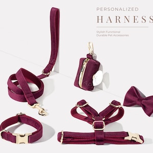 May include: A set of burgundy velvet pet accessories, including a collar, leash, harness, and bow tie. The accessories feature gold hardware and are personalized with the word "HARNESS".