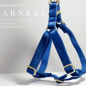 Blue Dog Harness Step in Style, Dog Harness ID Personalized, Fancy Wedding Dog Harness with Custom Name, Puppy Harness Small Dog Harness
