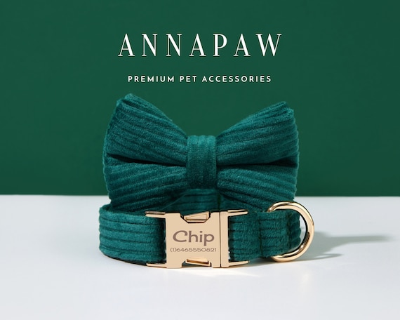 dog collar and bow tie set