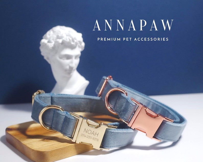 May include: Two blue velvet dog collars with gold and rose gold hardware. One collar has the name "NOAH" and a phone number engraved on the buckle. The collars are on a wooden surface.  ANNAPAW PREMIUM PET ACCESSORIES is printed on a blue background.