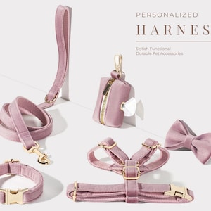 Dusty Pink Dog Harness with ID Personalized, Luxury Velvet Dog Harness Leash Set, Cute Harness for Small Dog, Designer Dog Harness