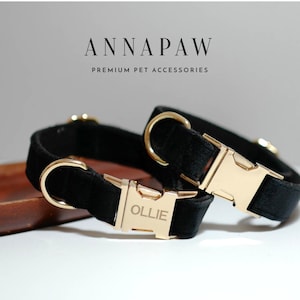 Collare per cani personalizzato nero, collana con collare in velluto spesso, collare per abiti da sposa per cani, collare per cuccioli per amanti dei cani, collari regolabili