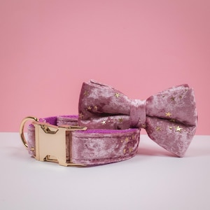 Personalized Pink Dog Collar With Leash,  Fancy Puppy Collar with Name on Metal Buckle, Pet Neckwear and Dog Supplies in Multiple Colour