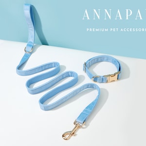 May include: A light blue dog collar and matching lead with gold hardware. The collar and lead are made of a soft, velvety material. The text "ANNAPAW PREMIUM PET ACCESSORIES" is visible in the background.