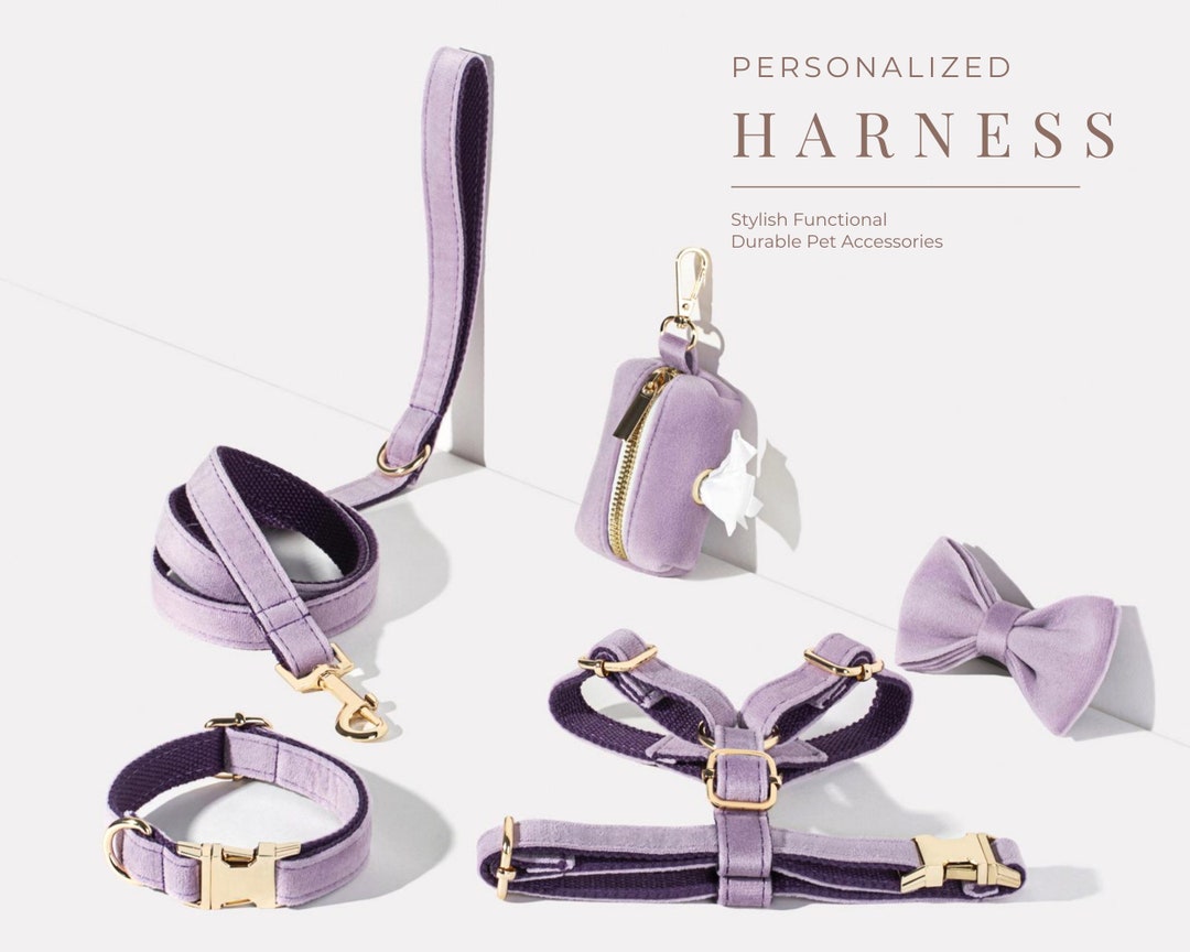 Harness, Collar and Leash Set Lavender