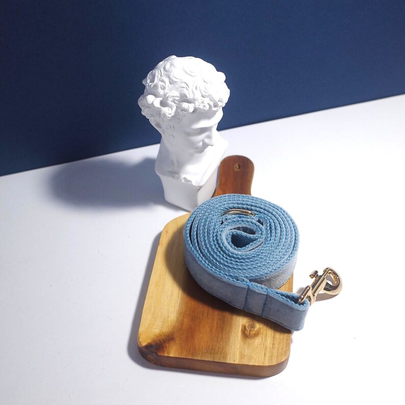 May include: A blue dog leash with a gold metal clasp, coiled on a wooden cutting board.