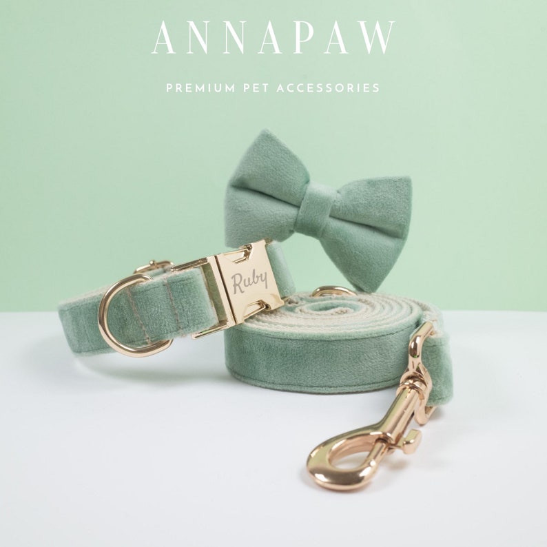 May include: A sage green velvet dog collar with a gold buckle and the name "Ruby" engraved on it. A matching sage green velvet bow tie and a sage green velvet leash with a gold clasp are also included.