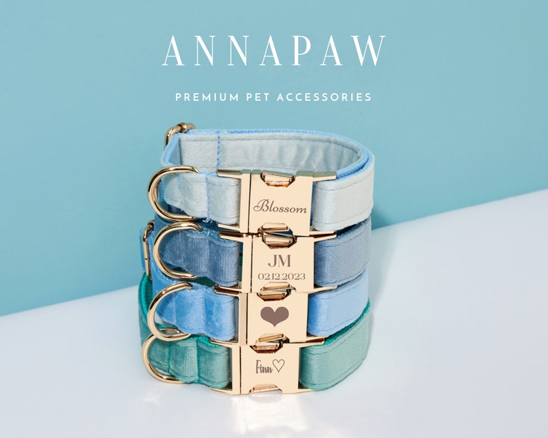 May include: Three personalised dog collars stacked on top of each other. The collars are made of light blue and green velvet with gold hardware. The collars are engraved with the names "Blossom", "JM 02122023", and "Finn".