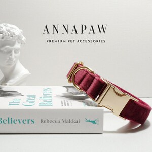 May include: A burgundy velvet dog collar with a gold metal buckle. The collar is on a white surface with a book titled "The Great Believers" by Rebecca Makkai.