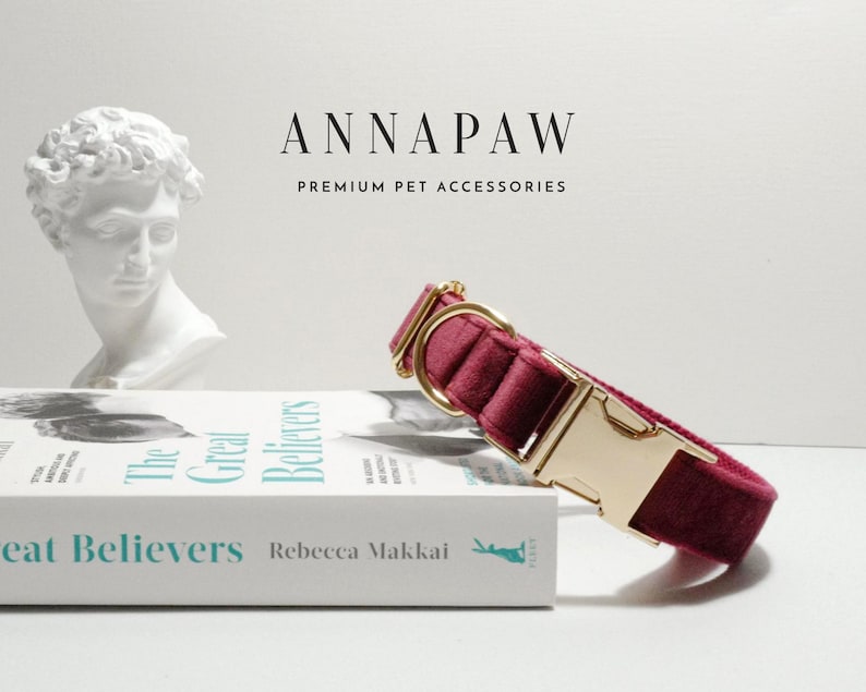 May include: A burgundy velvet dog collar with a gold metal buckle. The collar is on a white surface with a book titled "The Great Believers" by Rebecca Makkai.
